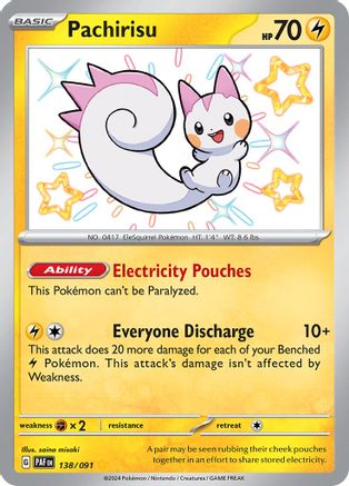 Pachirisu (Holofoil)