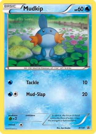 Mudkip - XY38 (Holofoil)
