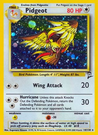 Pidgeot (Holofoil)