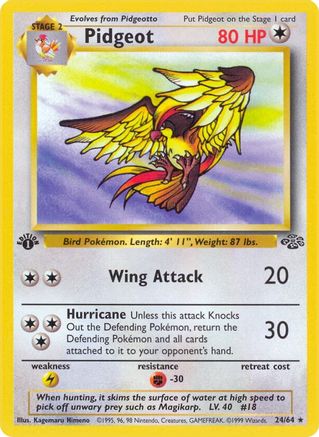 Pidgeot (24) (Unlimited)