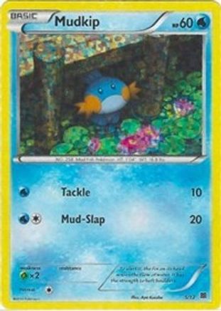 Mudkip - 5/12 (Holofoil)