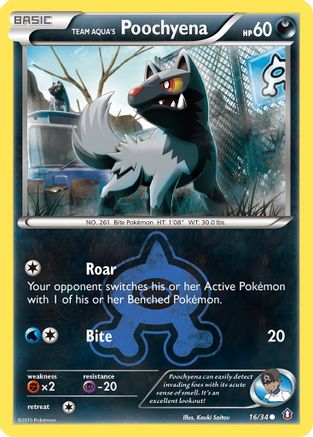 Team Aqua's Poochyena (Reverse Holofoil)