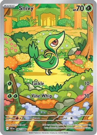 Snivy - 087/086 (Holofoil)