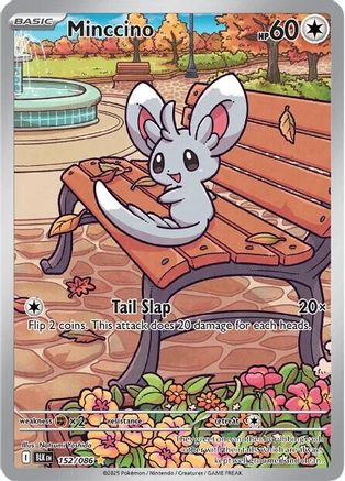 Minccino - 152/086 (Holofoil)