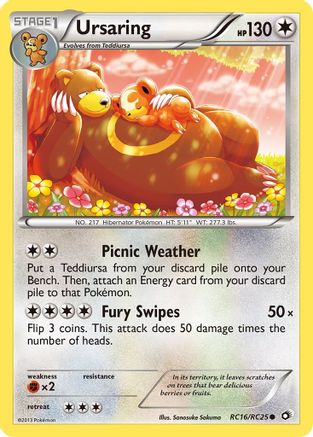Ursaring (Holofoil)