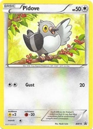 Pidove - BW15