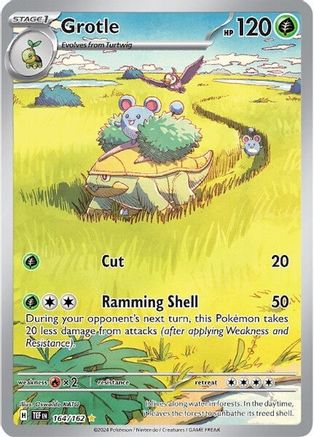 Grotle - 164/162 (Holofoil)