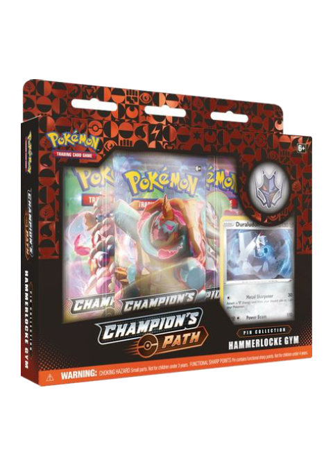 Champion's Path Pin Collection [Hammerlocke Gym]